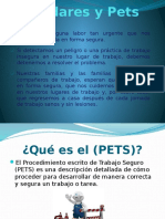 Estándares y Pets