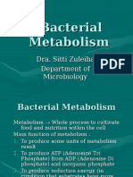 Bacterial Metabolism (Eng.).ppt