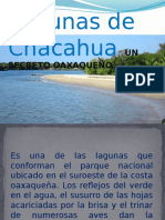 Lagunas de Chacahua 