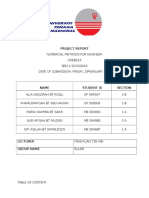 Project Report(Sample) numed