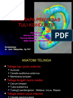 259140059-Tuli-Konduktif-Ppt-NEW.ppt