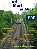 Trenuri Mari Si Mici PDF