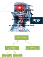 Kortikospinal Kortikobulbar