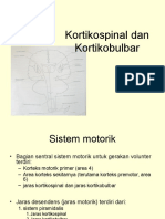 Kortikospinal Dan Kortikobulbar 2