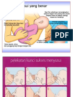 Cara Menyusui Yang Benar