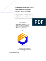 Hidrolisis Pati