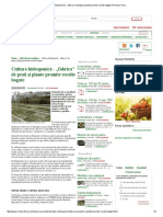 Cultura Hidroponică - Fabrica" de Peşti Şi Plante Promite Recolte Bogate - Revista Ferma