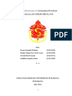 Analisis Escherichia Coli Berdasarkan BAM