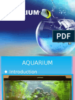 SEO Aquarium Guide