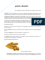 Curcuma PDF