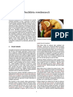 Bucătăria Românească PDF