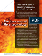 XP-flare-article-reprint.pdf
