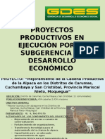 Proyectos Productivos_1 (1)