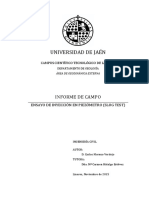 Informe de Campo. Ensayo de Inyección Piezométrica. SLUG TEST