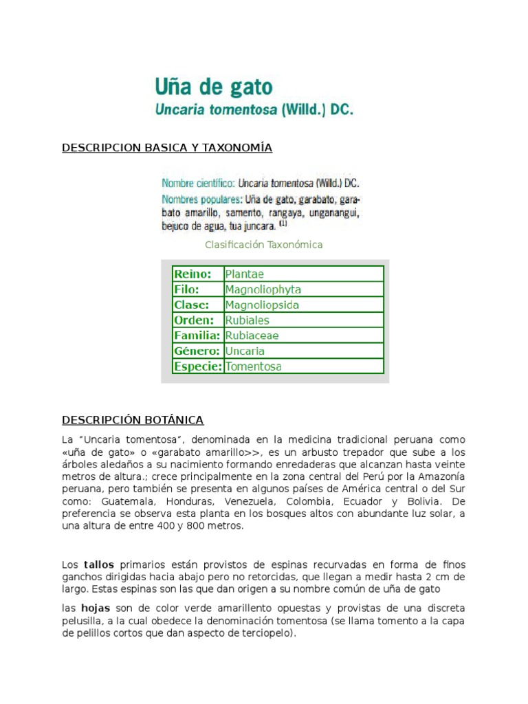 gatito-pdf