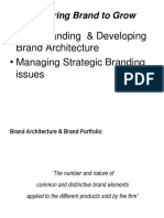 Nurturing Brand To Grow: - Understanding & Developing Brand Architecture - Managing Strategic Branding Issues