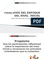 Principios Del Enfoque Del Nivel Inicial