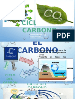 CicloCarbono Ecologia