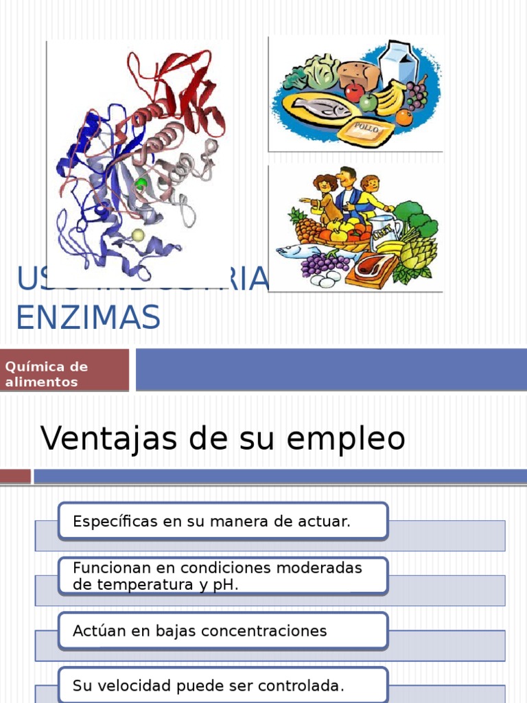 Uso Industrial de Enzimas Enzima Leche