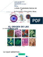 Celula Procariota, Eucariota y Virus