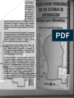 Sistemas y Organizaciones - Resolviendo Problemas en Los Sistemas de Informacion - Enfoque para Informaticos - Maria Florencia Pollo-Cattaneo