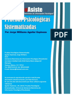 INVESTIGACION_PRUEBAS_SISTEMATIZADAS.pdf