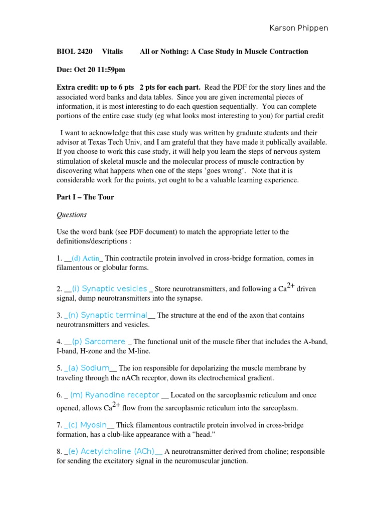 How do altered ca++ levels affect the position of the actin and myosin filaments? image