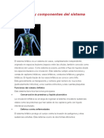 Seminari Sistema Linfatico