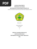 Download gulma rumput-rumputan by Azizah Aprilia Ernita SN328226048 doc pdf