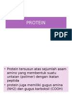 PROTEIN-full.pptx