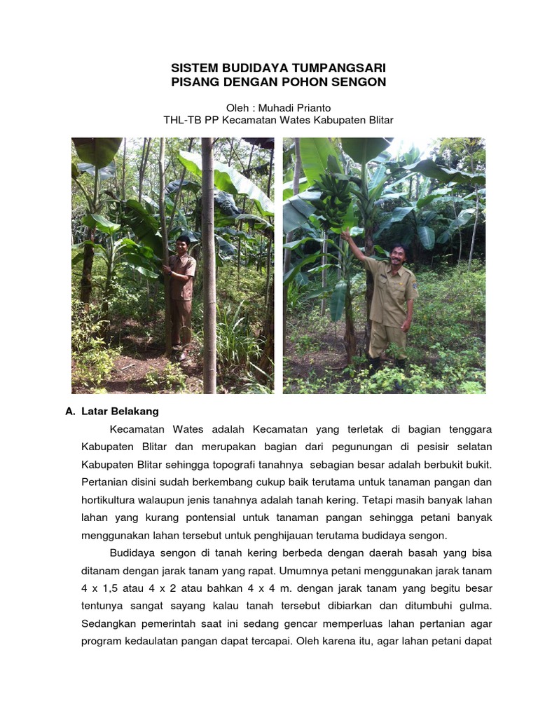 BUDIDAYAPISANGPDF.pdf