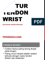 Ruptur Tendon Wrist2