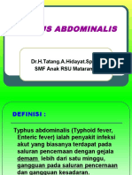 Typhus Abdominalis