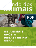 Os Animais Após o Desastre no Nepal 