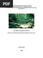 A Sagrada Floresta da Tijuca 