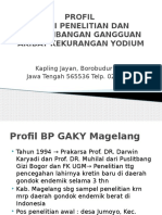 Profil Gaky 2015