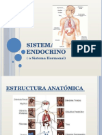 Sistema Endocrino (Presentacion de Radiodiagnostico)