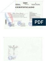 SNPP PDF