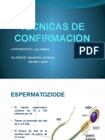 Tecnicas de Confirmacion