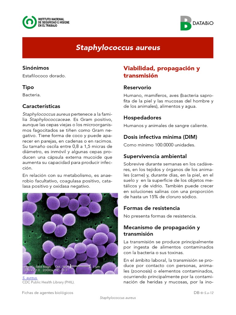 Staphylococcus Aureus Staphylococcus Aureus Microbiología