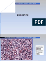 SISTEMA_ENDOCRINO.pdf