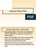 InteresRisk 2009