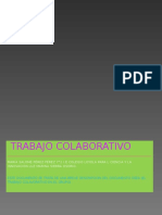 Trabajo Colavorativo DPP