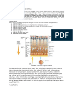 Documents - Tips - Anatomi Dan Histologi Retina