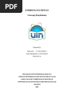 Download Kelompok 4 Cleavage by pendidikan SN328336082 doc pdf