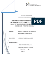 Infrome Final de Formulacion Modulo 1