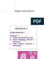 Histologia completo.pdf