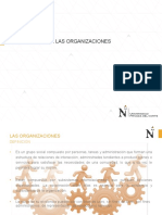 Naturaleza de Las Organizaciones