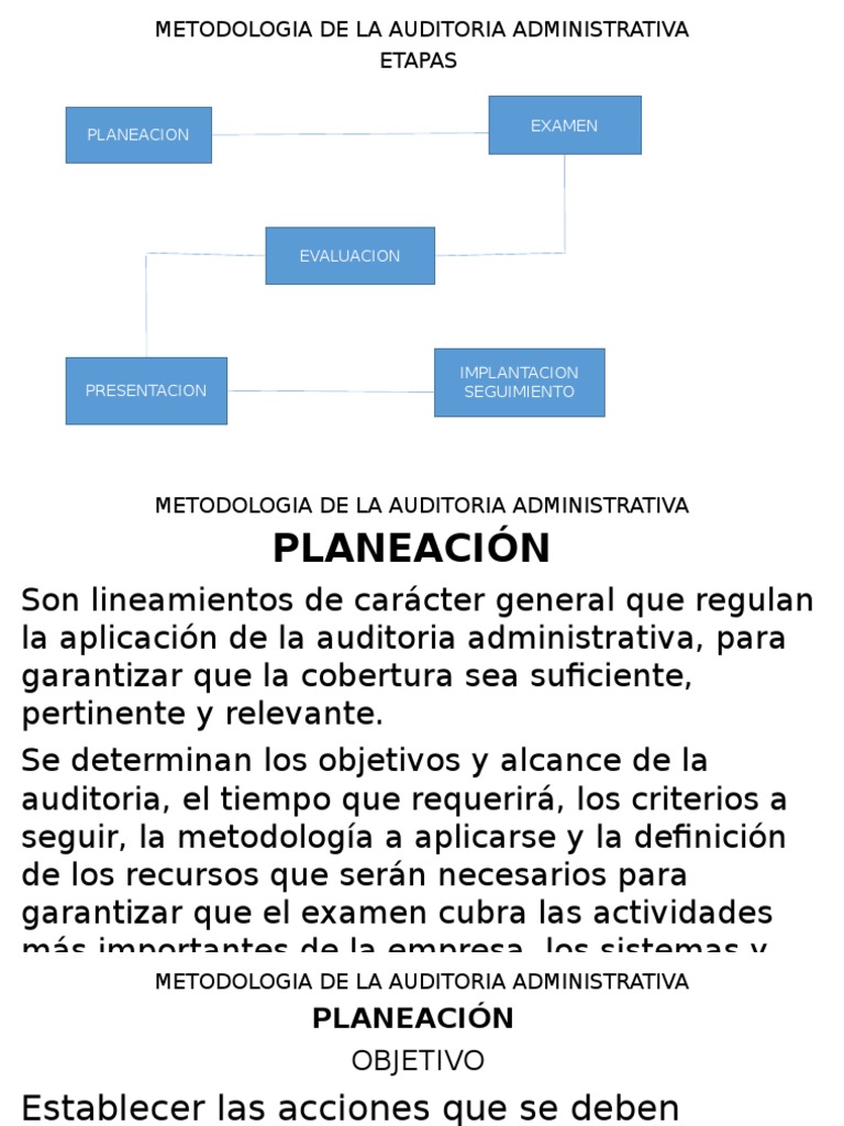 Metodologia de La Auditoria Administrativa Planificación