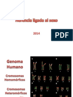 Herencia Ligada Al Sexo